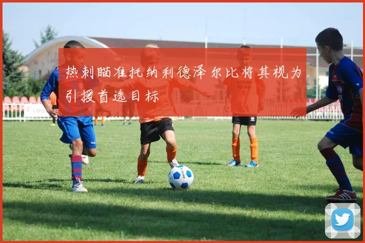 热刺瞄准托纳利德泽尔比将其视为引援首选目标